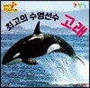 최고의 수영선수 고래