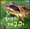 폴짝폴짝 개구리