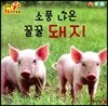 소풍 나온 꿀꿀 돼지