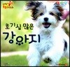 호기심 많은 강아지