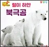 털이 하얀 북극곰