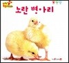 노란 병아리