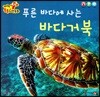 푸른 바다에 사는 바다거북