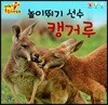 높이뛰기 선수 캥거루