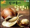 긴 더듬이 달팽이