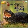 늪에 사는 악어