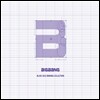 빅뱅 Alive 2012 Making Collection [초회 한정판]