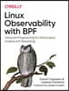 Linux Observability with Bpf: Advanced Programming for Performance Analysis and Networking