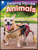 Helping Injured Animals