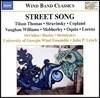 Street Song (틸슨 토마스, 스트라빈스키, 코플랜드, 본 윌리엄스 외) - 아나톨리 셰루디야코프, 존 P 린치, 조지아 대학교 관악 앙상블