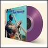 Muddy Waters - At Newport 1960 머디 워터스 라이브 [퍼플 컬러 LP]