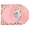 무민 밸리 애니메이션 음악 (Moominvalley OST) [스노크 메이든 픽쳐 디스크 LP]