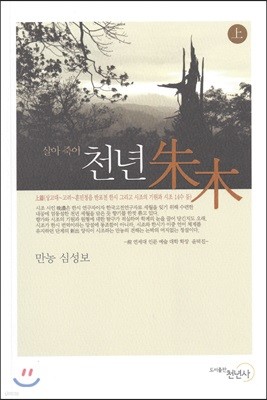 천년 주목 上