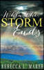 When the Storm Ends