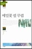메밀꽃 필 무렵