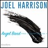 Joel Harrison (조엘 해리슨) - Angel Band: Free Country Vol. 3