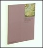 Italian Renaissance Painting: Colour Library