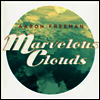 Aaron Freeman - Marvelous Clouds (LP)