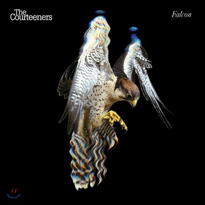 Courteeners (커티너스) - Falcon [화이트 컬러 LP]