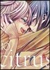 citrus 시트러스 10
