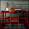Anne Gastinel 베토벤: 삼중 협주곡, 피아노 삼중주 (Beethoven: Triple Concerto, Trio Op. 11)