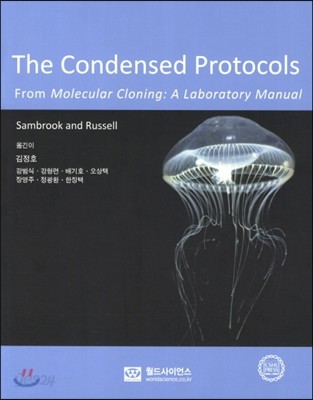 The Condensed Protocols