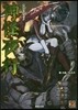 神我狩GMブック 神怪夜行