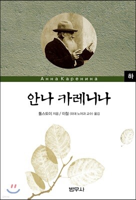 안나카레니나 (하)