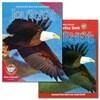 Journeys Write-in Reader Book Grade 6 Set (Student Book + Workbook)