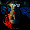 Rachel Zeffira - Elizabeth Harvest (엘리자베스 하베스트) (LP)(Soundtrack)