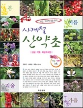 사계절 산약초