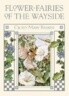 Flower Fairies of the Wayside