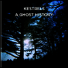 Kestrels - Ghost History (LP)