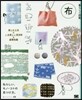 暮らしの圖鑑 布 樂しむ工夫xいま欲しい布210×基礎知識