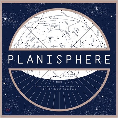 누메로 그룹 컴필레이션 (Planisphere) [픽쳐 디스크 LP]