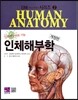 인체해부학