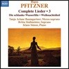 Tanja Ariane Baumgartner 한스 피츠너: 가곡 작품 3집 (Hans Pfitzner: Complete Lieder, Vol. 3)