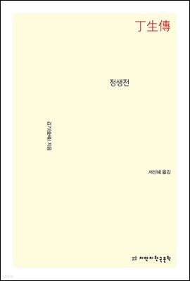 정생전 - 지식을만드는지식 소설선집