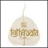 He Xuntian (하훈전) - Tathagata: The Path to Enlightenment (여래)