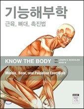 기능해부학