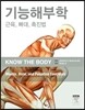 기능해부학