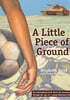 A Little Piece of Ground