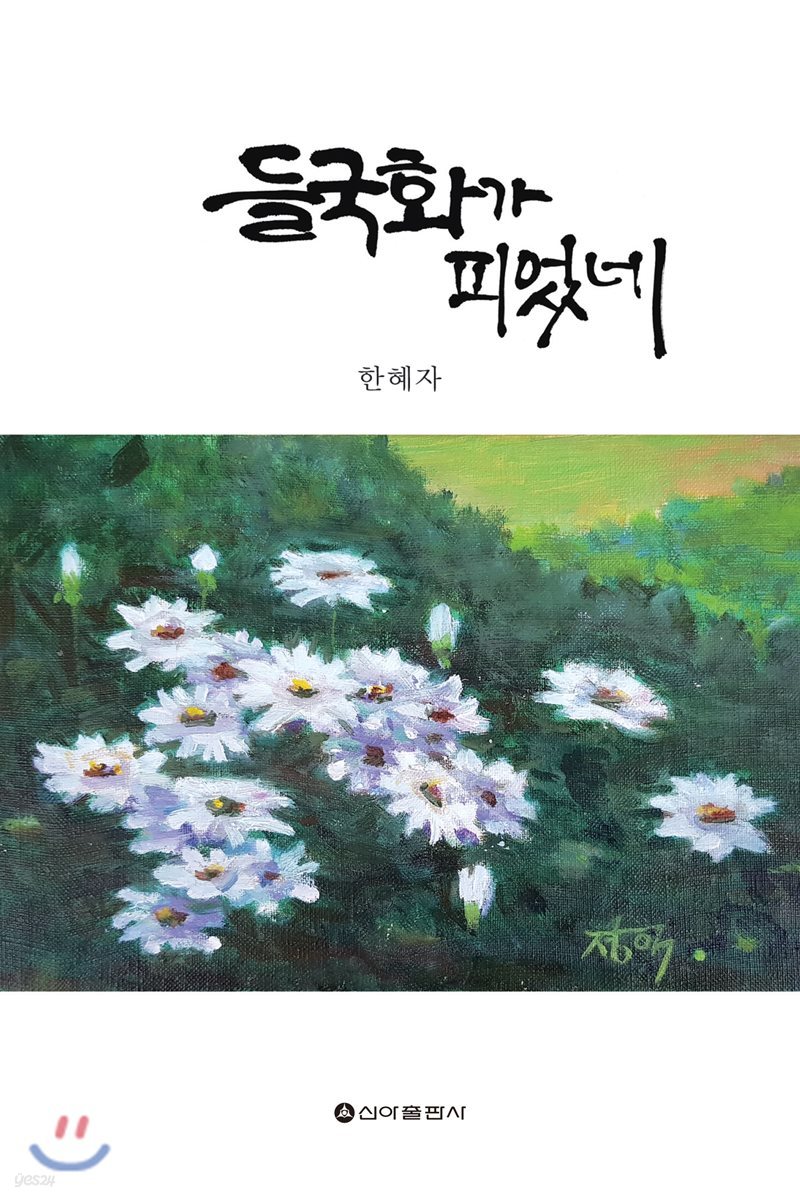 들국화가 피었네