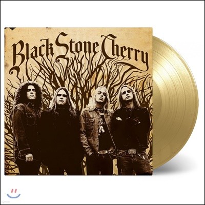 Black Stone Cherry (블랙 스톤 체리) - Black Stone Cherry [골드 컬러 LP]