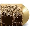 Black Stone Cherry (블랙 스톤 체리) - Black Stone Cherry [골드 컬러 LP]