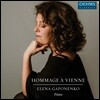 Elena Gaponenko 비엔나 헌정 (Hommage a Vienne)