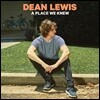 Dean Lewis (딘 루이스) - A Place We Knew 데뷔 앨범 [LP]