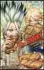 Dr.STONE  11