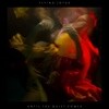 Flying Lotus (플라잉 로터스) - Until The Quiet Comes [2LP]