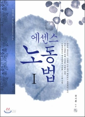 2013 에센스 노동법 1